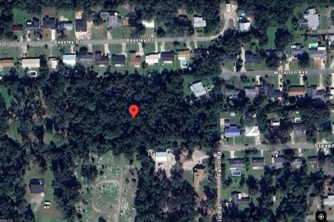 Land in DeLand, Florida № 1733913 - photo 1