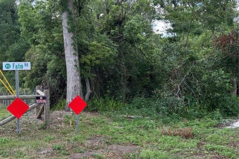 Land in DeLand, Florida № 1733913 - photo 6