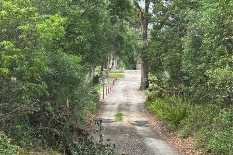 Land in DeLand, Florida № 1733913 - photo 5