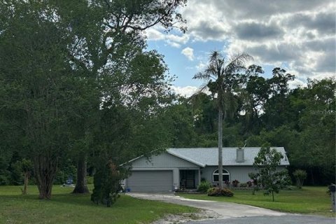 Land in DeLand, Florida № 1733913 - photo 7