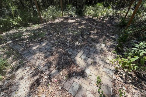 Land in Silver Springs Shores, Florida № 2378042 - photo 7