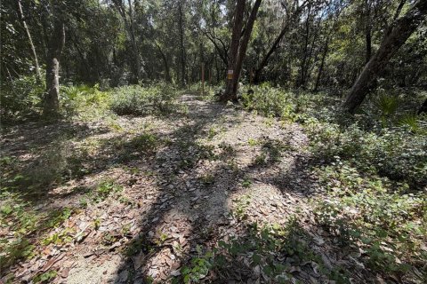 Land in Silver Springs Shores, Florida № 2378042 - photo 4