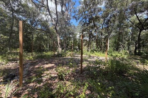 Land in Silver Springs Shores, Florida № 2378042 - photo 6