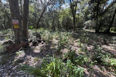 Land in Silver Springs Shores, Florida № 2378042 - photo 5
