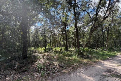 Land in Silver Springs Shores, Florida № 2378042 - photo 3