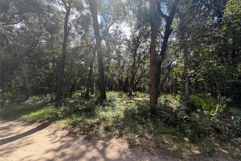 Land in Silver Springs Shores, Florida № 2378042