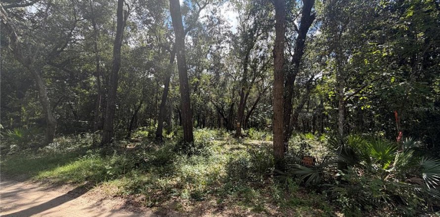 Land in Silver Springs Shores, Florida № 2378042