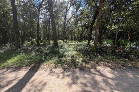 Land in Silver Springs Shores, Florida № 2378042 - photo 2
