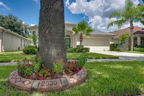 House in Valrico, Florida 3 bedrooms, 198.81 sq.m. № 1894318 - photo 6