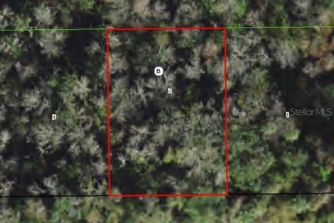 Land in Crystal River, Florida № 2213628