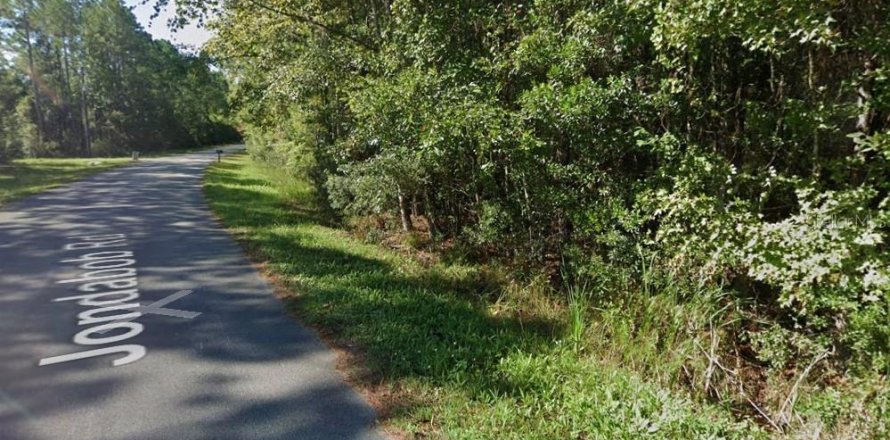 Terreno en Green Cove Springs, Florida № 1508535