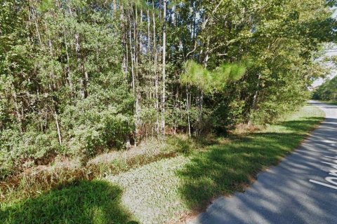 Land in Green Cove Springs, Florida № 1508535 - photo 5