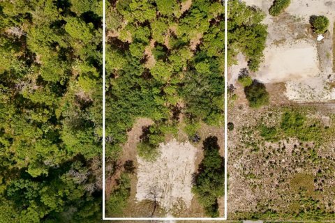 Terrain à Clewiston, Floride № 2156110