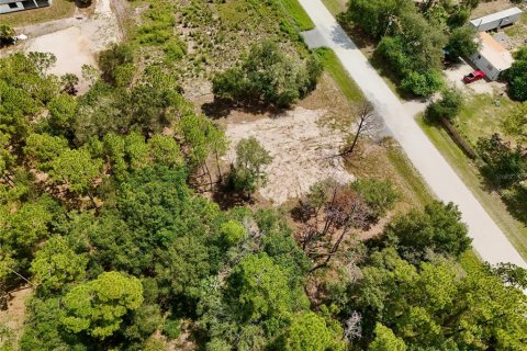 Terrain à vendre à Clewiston, Floride № 2156110 - photo 23