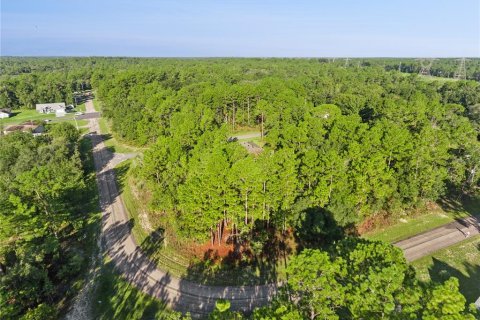 Land in Citrus Springs, Florida № 2366676