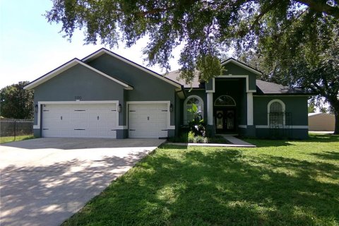 House in Dover, Florida 4 bedrooms, 237.18 sq.m. № 1866187 - photo 2
