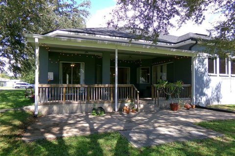 House in Dover, Florida 4 bedrooms, 237.18 sq.m. № 1866187 - photo 20