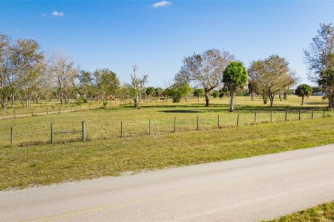 Terreno en venta en Okeechobee, Florida № 2101905 - foto 27