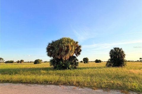 Land in Placida, Florida № 2393828