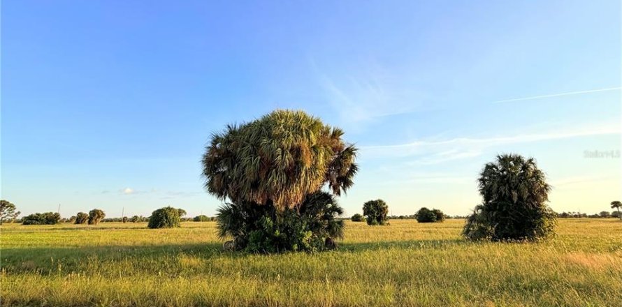 Land in Placida, Florida № 2393828