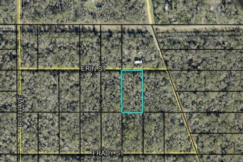 Land in Hastings, Florida № 2361008