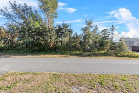 Terreno en venta en Deltona, Florida № 1905686 - foto 13