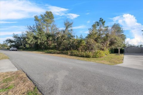 Terreno en venta en Deltona, Florida № 1905686 - foto 12
