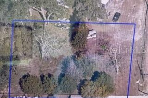 Land in Eustis, Florida № 2141358 - photo 2