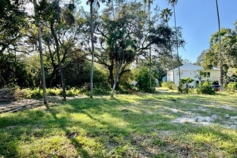 Land in Sarasota, Florida № 2396184