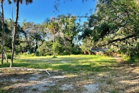 Land in Sarasota, Florida № 2396184 - photo 2