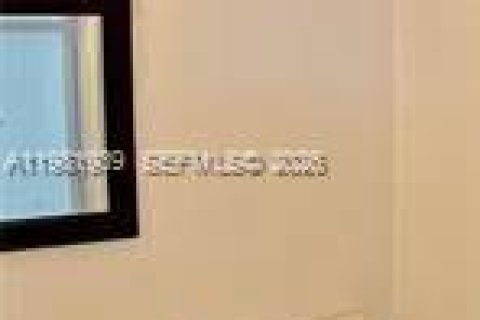 Condo in Hollywood, Florida, 1 bedroom  № 2043197 - photo 5