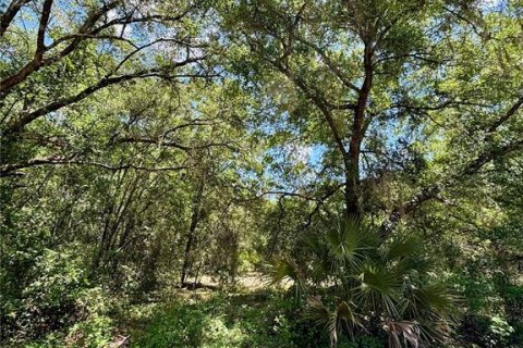Land in Dunnellon, Florida № 2161542 - photo 2
