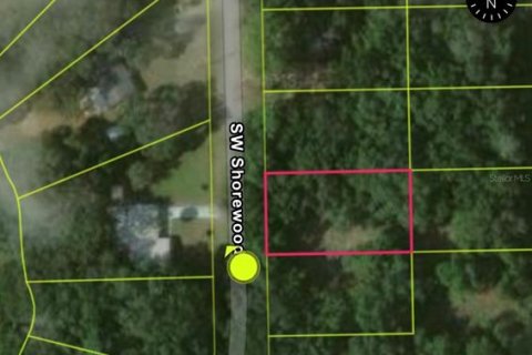 Land in Dunnellon, Florida № 2161542 - photo 4