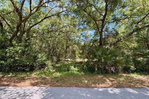 Land in Dunnellon, Florida № 2161542