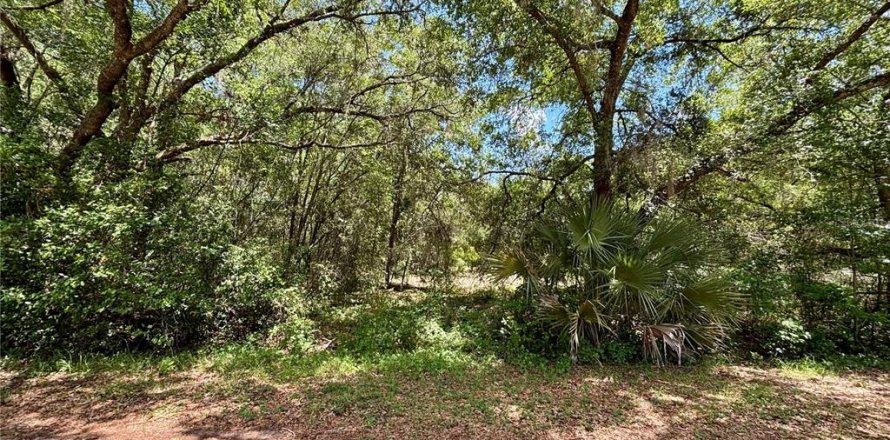 Land in Dunnellon, Florida № 2161542