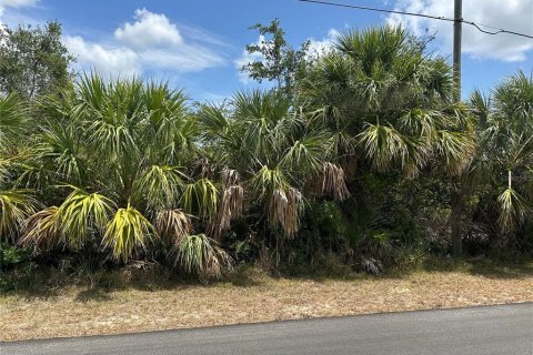 Land in Port Charlotte, Florida № 2213735