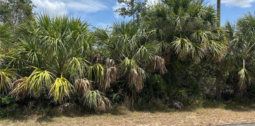Terrain à Port Charlotte, Floride № 2213735