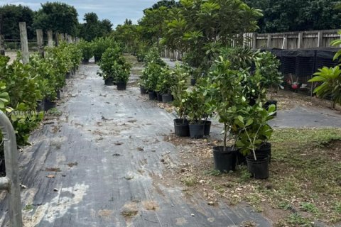 House in Homestead, Florida 3 bedrooms, 162.39 sq.m. № 1968646 - photo 28