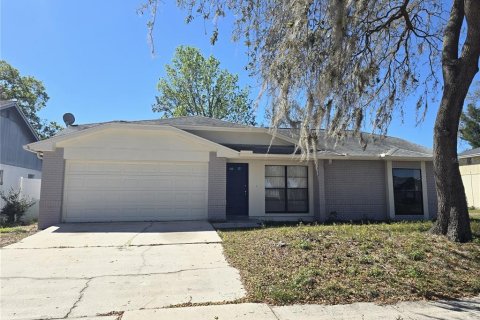 House in Riverview, Florida 3 bedrooms, 105.54 sq.m. № 2228071