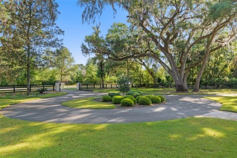 House in Newberry, Florida 3 bedrooms, 388.05 sq.m. № 1651110 - photo 7
