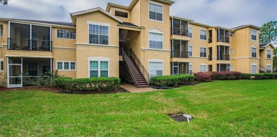 Condo à Tampa, Floride, 3 chambres  № 2398856