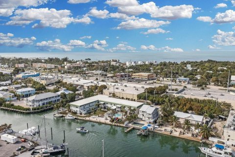 Condo in Marathon, Florida, 1 bedroom  № 2040044 - photo 18