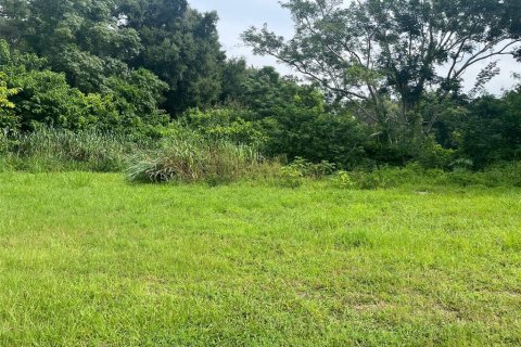 Land in Apopka, Florida № 1895022 - photo 4