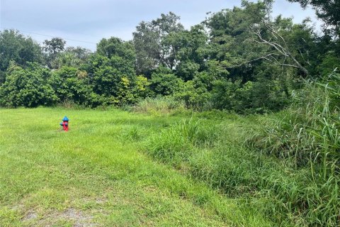 Land in Apopka, Florida № 1895022 - photo 5