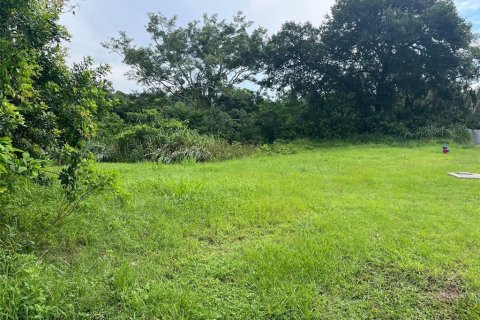 Land in Apopka, Florida № 1895022 - photo 6