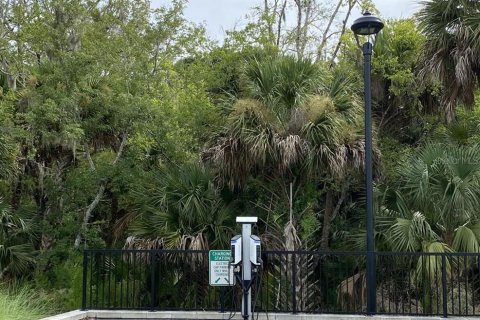 Land in Palm Coast, Florida № 217785 - photo 4