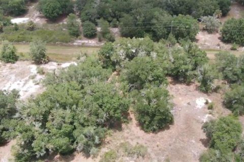 Land in Okeechobee, Florida № 2164058 - photo 2