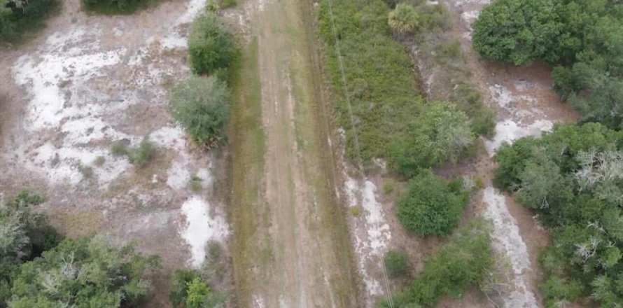 Land in Okeechobee, Florida № 2164058