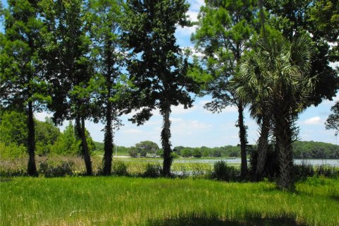 Land in Leesburg, Florida № 2433774 - photo 19