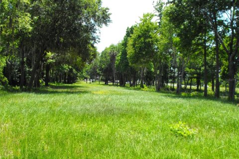 Land in Leesburg, Florida № 2433774 - photo 21